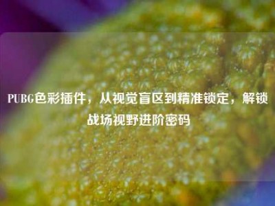PUBG色彩插件，从视觉盲区到精准锁定，解锁战场视野进阶密码