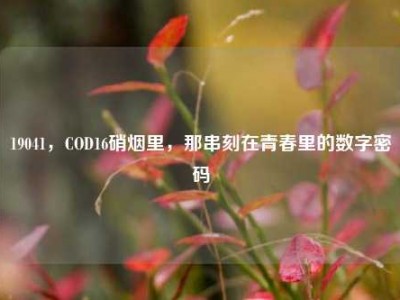 19041，COD16硝烟里，那串刻在青春里的数字密码
