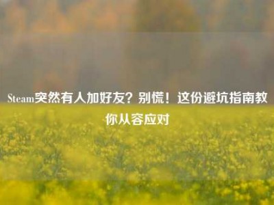Steam突然有人加好友？别慌！这份避坑指南教你从容应对