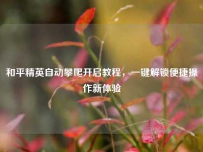 和平精英自动攀爬开启教程，一键解锁便捷操作新体验