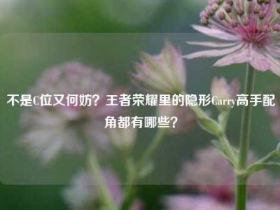 不是C位又何妨？王者荣耀里的隐形Carry高手配角都有哪些？