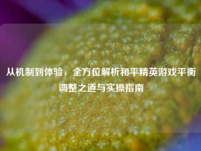 从机制到体验，全方位解析和平精英游戏平衡调整之道与实操指南