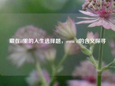 藏在if里的人生选择题，even if的含义探寻
