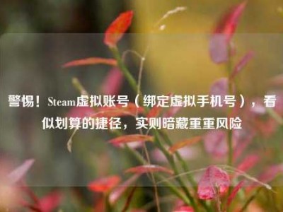 警惕！Steam虚拟账号（绑定虚拟手机号），看似划算的捷径，实则暗藏重重风险