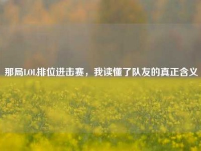 那局LOL排位进击赛，我读懂了队友的真正含义