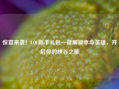 惊喜来袭！LOL新手礼包一键解锁本命英雄，开启你的峡谷之旅
