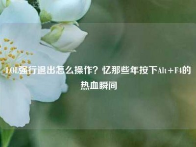 LOL强行退出怎么操作？忆那些年按下Alt+F4的热血瞬间