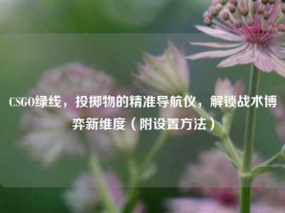 CSGO绿线，投掷物的精准导航仪，解锁战术博弈新维度（附设置方法）
