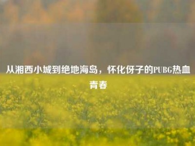 从湘西小城到绝地海岛，怀化伢子的PUBG热血青春