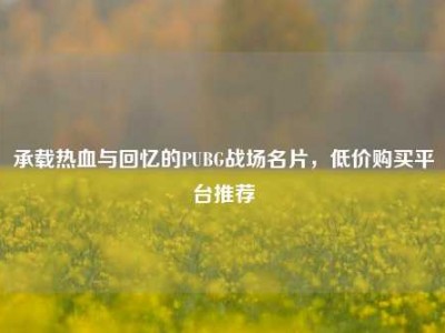 承载热血与回忆的PUBG战场名片，低价购买平台推荐