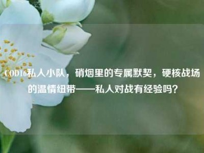 COD16私人小队，硝烟里的专属默契，硬核战场的温情纽带——私人对战有经验吗？