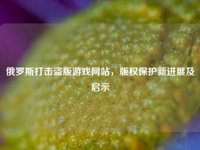 俄罗斯打击盗版游戏网站，版权保护新进展及启示