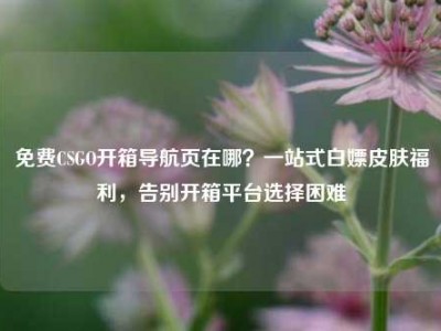 免费CSGO开箱导航页在哪？一站式白嫖皮肤福利，告别开箱平台选择困难
