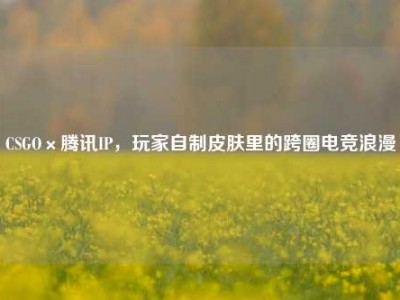 CSGO×腾讯IP，玩家自制皮肤里的跨圈电竞浪漫