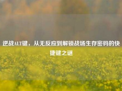 逆战ALT键，从无反应到解锁战场生存密码的快捷键之谜