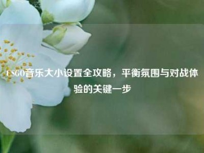 CSGO音乐大小设置全攻略，平衡氛围与对战体验的关键一步