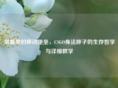 屏幕里的移动堡垒，CSGO身法胖子的生存哲学与详细教学