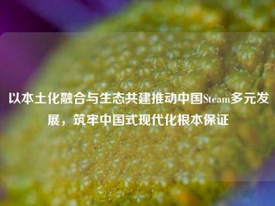 以本土化融合与生态共建推动中国Steam多元发展，筑牢中国式现代化根本保证