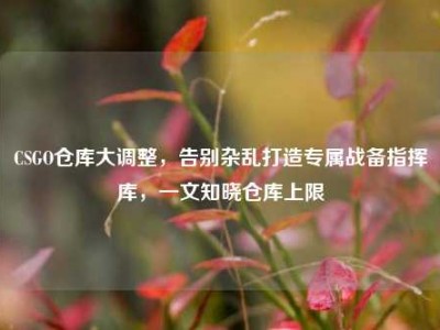 CSGO仓库大调整，告别杂乱打造专属战备指挥库，一文知晓仓库上限
