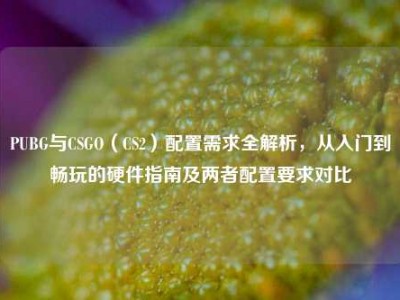 PUBG与CSGO（CS2）配置需求全解析，从入门到畅玩的硬件指南及两者配置要求对比
