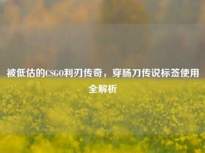 被低估的CSGO利刃传奇，穿肠刀传说标签使用全解析
