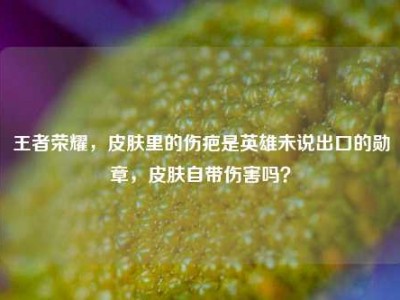 王者荣耀，皮肤里的伤疤是英雄未说出口的勋章，皮肤自带伤害吗？