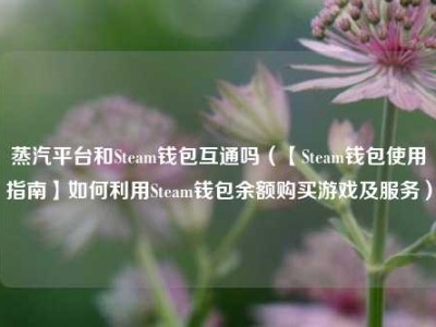 蒸汽平台和Steam钱包互通吗（【Steam钱包使用指南】如何利用Steam钱包余额购买游戏及服务）