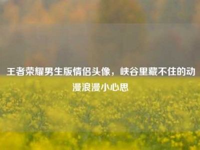 王者荣耀男生版情侣头像，峡谷里藏不住的动漫浪漫小心思