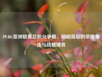 PUBG亚洲联赛总积分争霸，硝烟背后的荣耀角逐与战略博弈