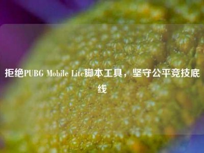拒绝PUBG Mobile Lite脚本工具，坚守公平竞技底线
