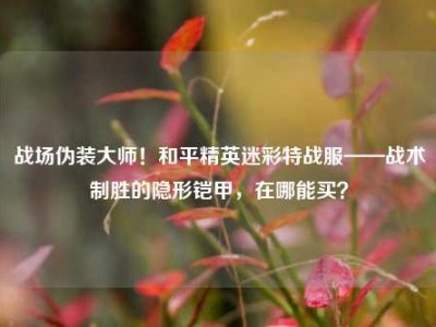 战场伪装大师！和平精英迷彩特战服——战术制胜的隐形铠甲，在哪能买？