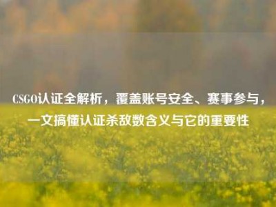 CSGO认证全解析，覆盖账号安全、赛事参与，一文搞懂认证杀敌数含义与它的重要性