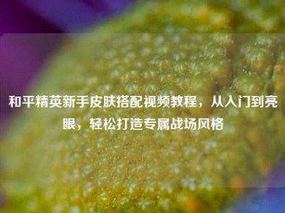 和平精英新手皮肤搭配视频教程，从入门到亮眼，轻松打造专属战场风格