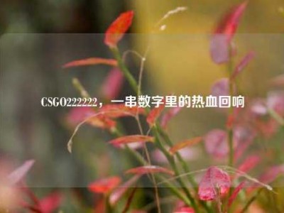 CSGO222222，一串数字里的热血回响