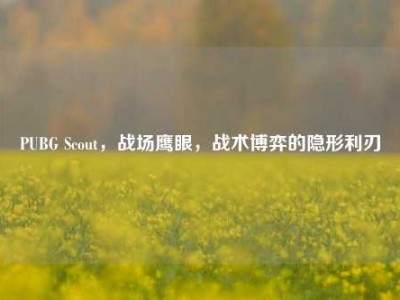 PUBG Scout，战场鹰眼，战术博弈的隐形利刃
