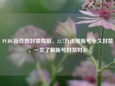PUBG反作弊封禁周报，12.7万违规账号永久封禁，一文了解账号封禁时长