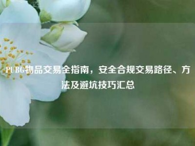 PUBG物品交易全指南，安全合规交易路径、方法及避坑技巧汇总