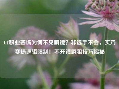 CF职业赛场为何不见瞬镜？非选手不会，实乃赛场逻辑限制！不开镜瞬狙技巧揭秘