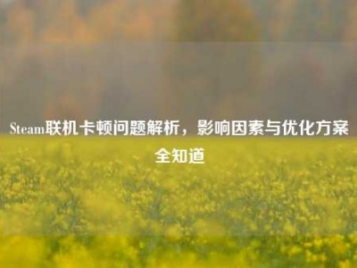 Steam联机卡顿问题解析，影响因素与优化方案全知道