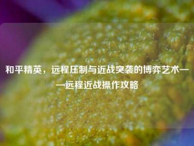 和平精英，远程压制与近战突袭的博弈艺术——远程近战操作攻略