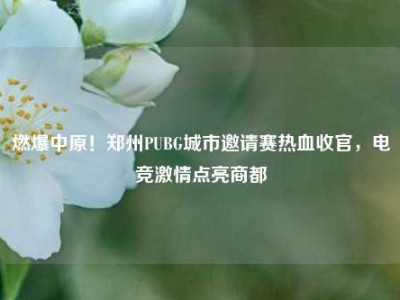 燃爆中原！郑州PUBG城市邀请赛热血收官，电竞激情点亮商都