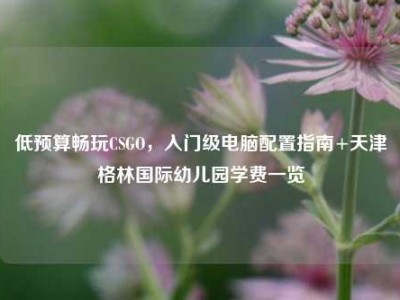 低预算畅玩CSGO，入门级电脑配置指南+天津格林国际幼儿园学费一览