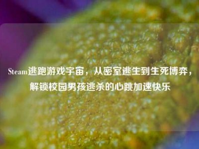 Steam逃跑游戏宇宙，从密室逃生到生死博弈，解锁校园男孩逃杀的心跳加速快乐