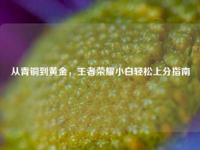从青铜到黄金，王者荣耀小白轻松上分指南
