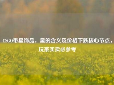 CSGO带星饰品，星的含义及价格下跌核心节点，玩家买卖必参考