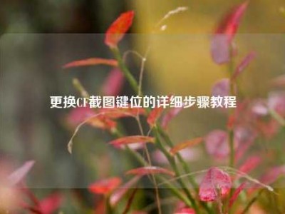 更换CF截图键位的详细步骤教程