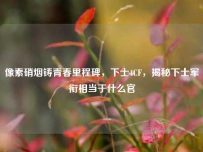 像素硝烟铸青春里程碑，下士4CF，揭秘下士军衔相当于什么官