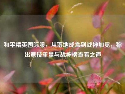 和平精英国际服，从落地成盒到战神加冕，称出竞技重量与战神榜查看之道