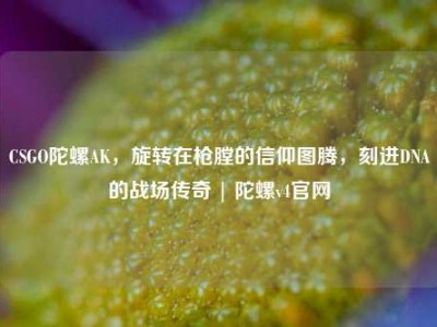 CSGO陀螺AK，旋转在枪膛的信仰图腾，刻进DNA的战场传奇 | 陀螺v4官网