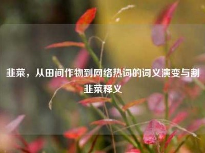 韭菜，从田间作物到网络热词的词义演变与割韭菜释义